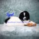 Spot at Bearheart Newfoundlands