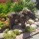 Cane Corso Puppy