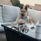 German Shepherd Male