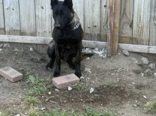 Rehoming
