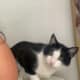 Shadow is in need of a new Home