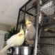 Male and Female