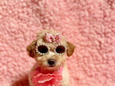 Tiny Tina
