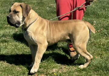 Looking for a home