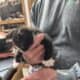 Free kittens