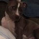 Need to rehome