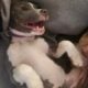 Need to rehome