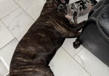 Sweet baby looking for loving home