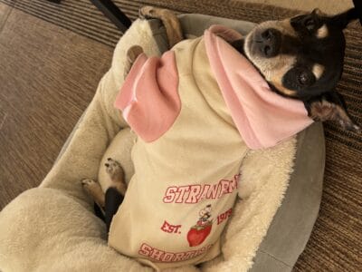 Loving Min Pin