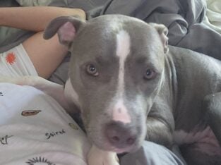 Need to rehome