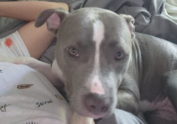Need to rehome