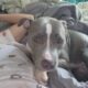 Need to rehome