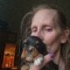 Akc Cavalier King Charles Spaniel