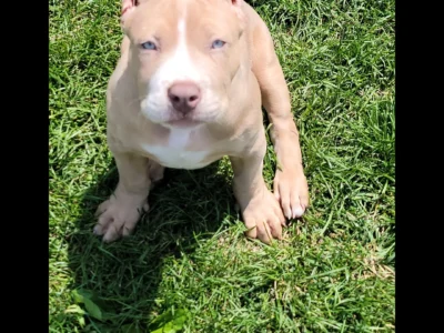 Sweet Miss Merle