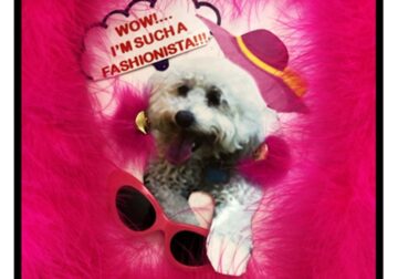 LET YOUR PET ‘TALK’ TO YOU IN A KEEPSAKE!!!…