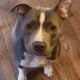 Need to rehome