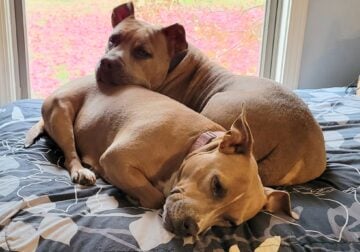 Bonnie and Clyde