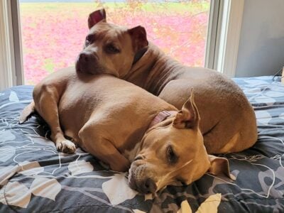 Bonnie and Clyde