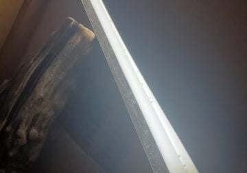 Male bearded dragon AND 120 gal DIY enclosure