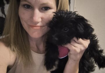 YORKIEPOO