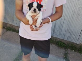 TUCKER