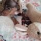 CKC DACHSHUND MINI CHOCOLATE DAPPLE MAVERICK