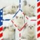 CFA Exotic Shorthairs
