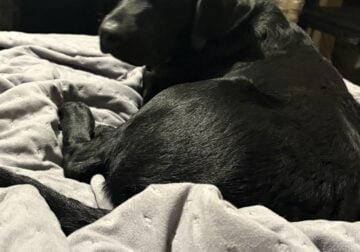 Two brothers