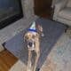 2 year old male great dane