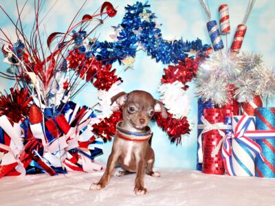 Symbra – Precious Baby Girl w Loads of Personality