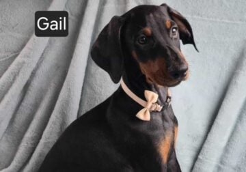 JULY 4TH SALE! “Gail”