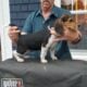 BEAGLE PUPS