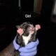 Blue Merle Puppys 5/11/25
