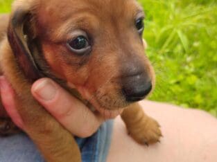 This is Ben