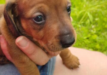 This is Ben
