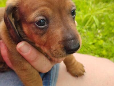 This is Ben