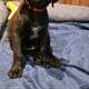 Lab GSP hybrid