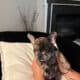Alli & Gator’s Litter