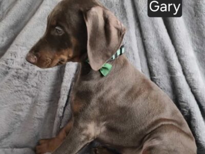 “Gary”
