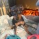miniature pincher puppies
