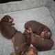 Pinpin puppies
