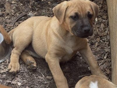 Roxyy