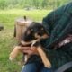 Small Loving Puppies Need Good Homes