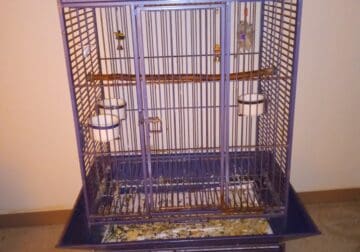 Large bird cage