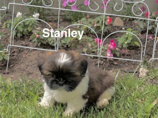 Stanley
