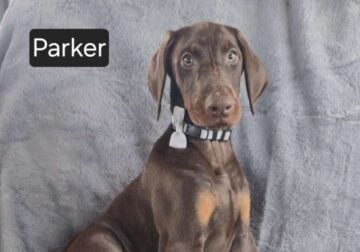Parker