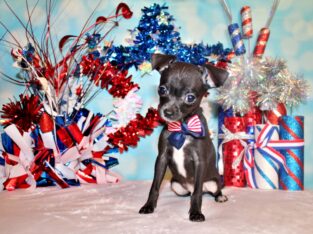 Sullivan – Adorable Baby Boy w/BIG Personality