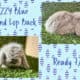 Holland Lop Rabbits
