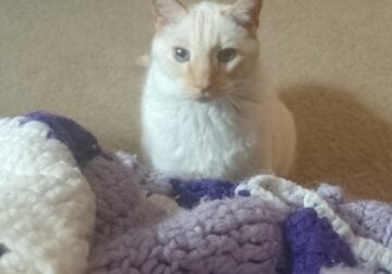 Loving snuggle friend