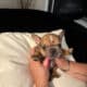 Alli & Gator’s Litter